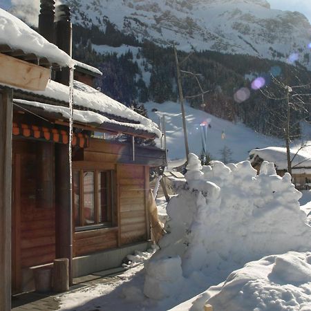 Bergdohle Adelboden Exterior foto