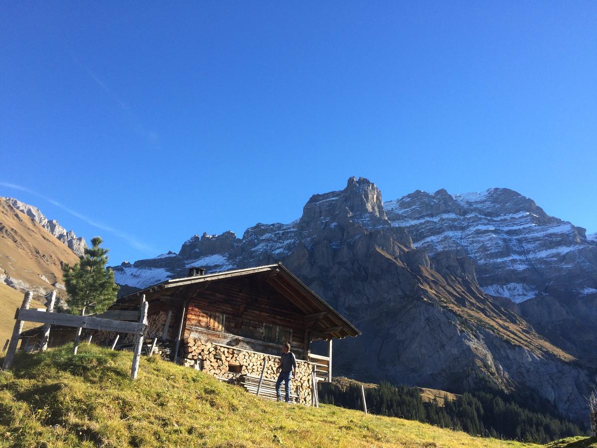 Bergdohle Adelboden Exterior foto