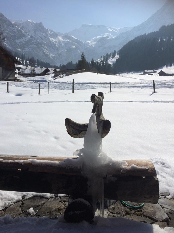 Bergdohle Adelboden Exterior foto