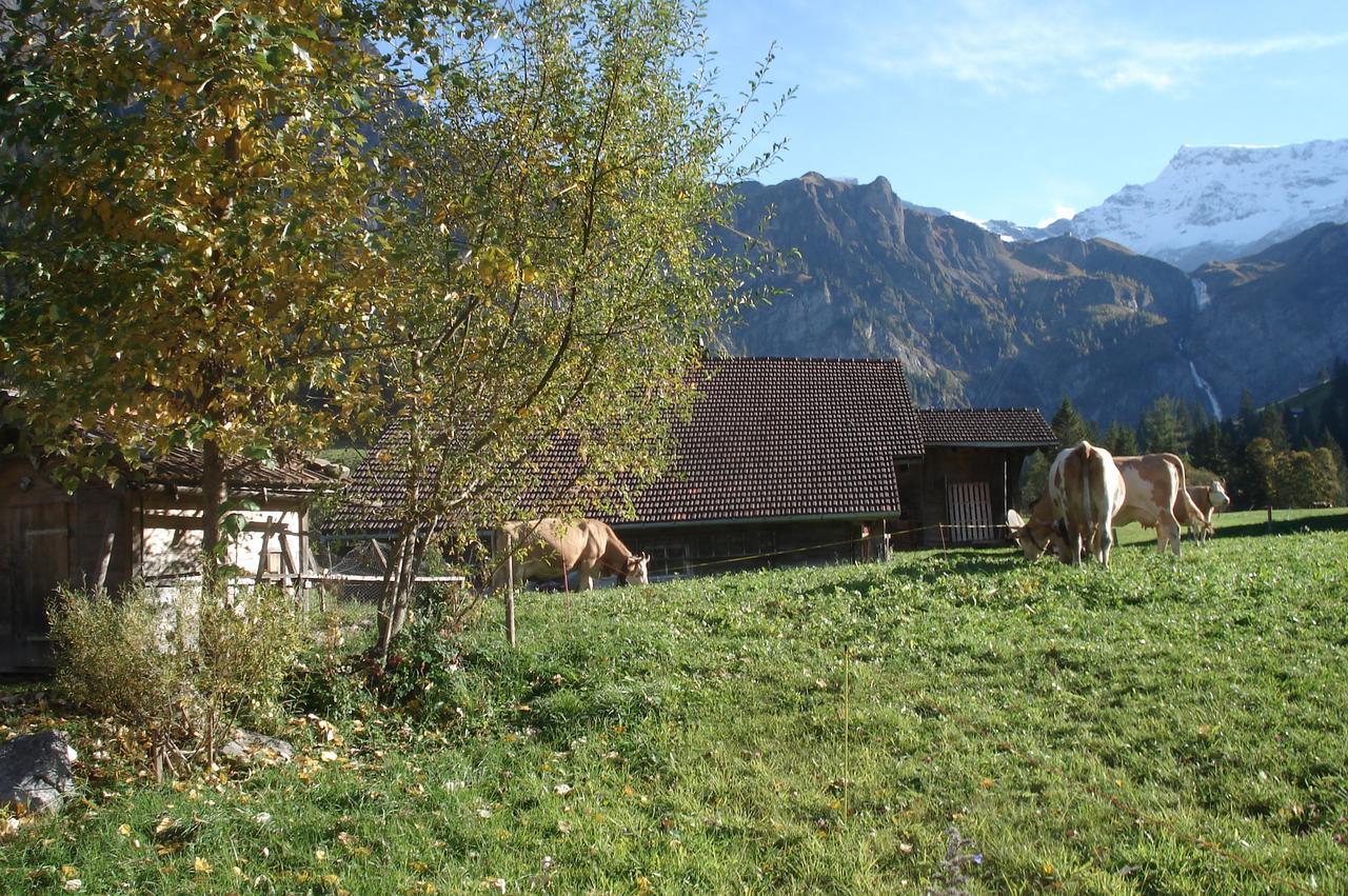 Bergdohle Adelboden Exterior foto