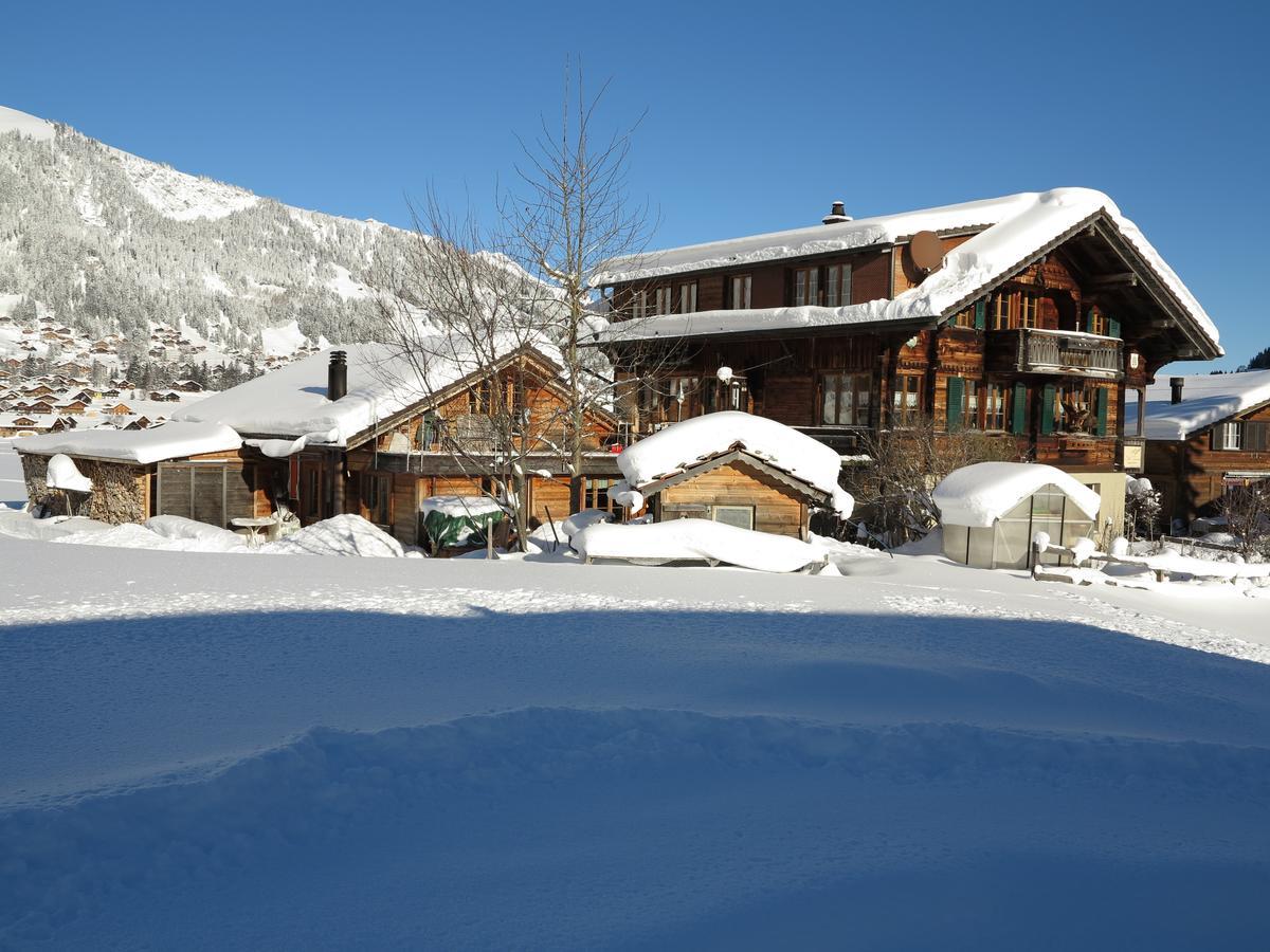 Bergdohle Adelboden Exterior foto