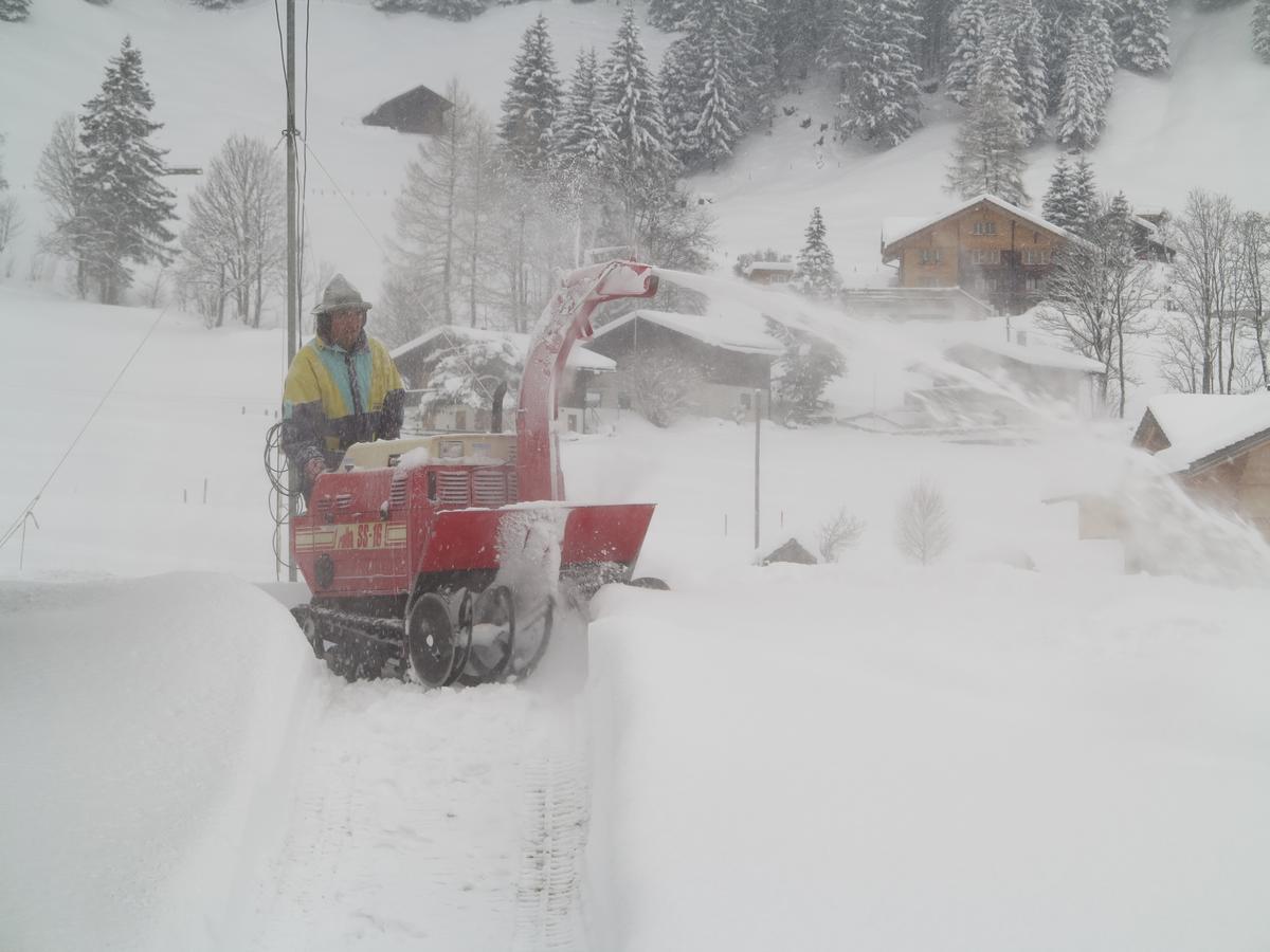 Bergdohle Adelboden Exterior foto